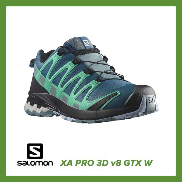 Salomon XA PRO 3D v8 GTX W 3000246 Hervis plava zenska obuca za trcanje